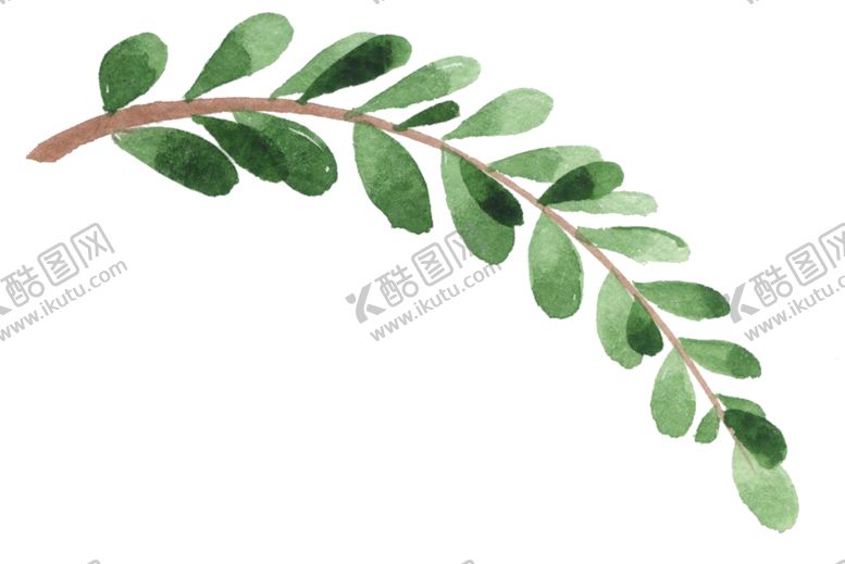编号：62473406270152168132【酷图网】源文件下载-植物绿叶