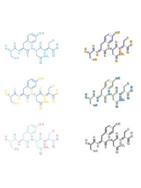 分子结构