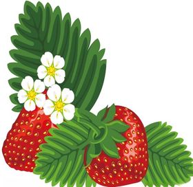 草莓卡通水果儿童矢量