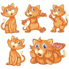 猫卡通