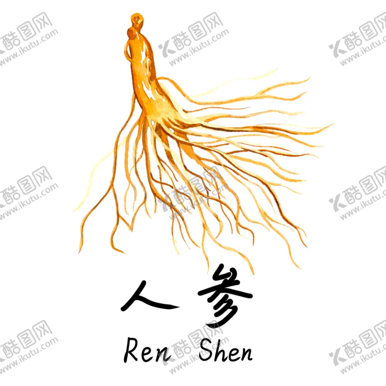 编号：43790805101022236655【酷图网】源文件下载-草本植物药材