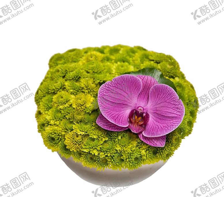 编号：86741109262359494165【酷图网】源文件下载-花艺