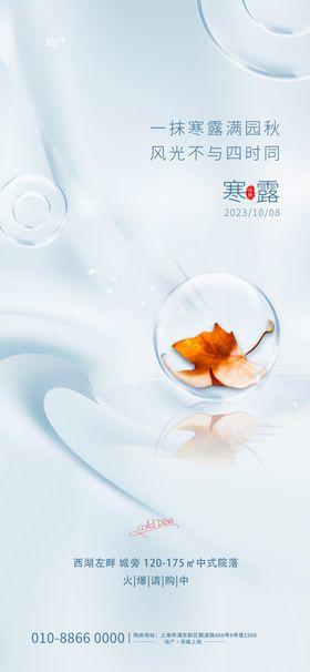 寒露海报