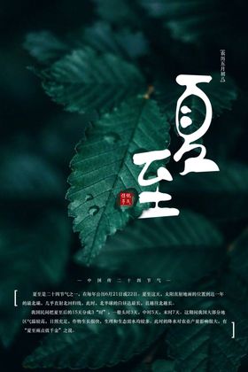 树叶夏至