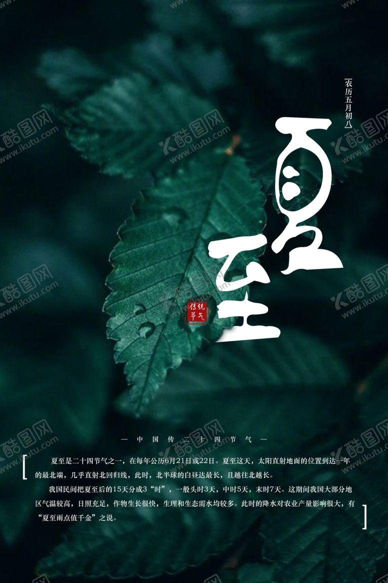 编号：11847106290014568374【酷图网】源文件下载-树叶夏至