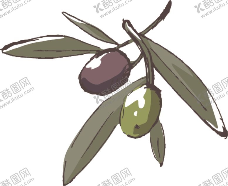 编号：63491006270452125697【酷图网】源文件下载-素描鲜花
