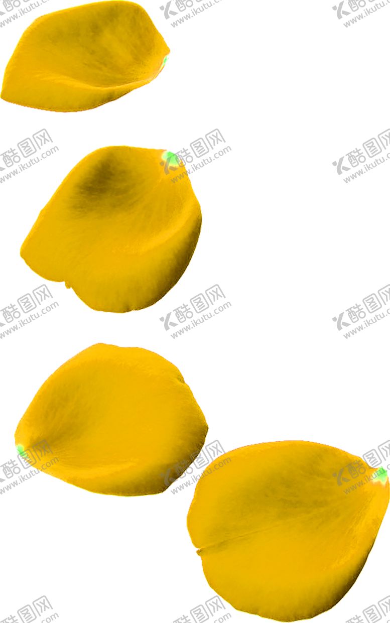 编号：66347009281707162230【酷图网】源文件下载-花素材