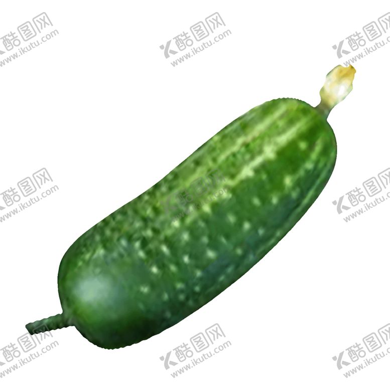 编号：31057909120411567009【酷图网】源文件下载-透明黄瓜png素材