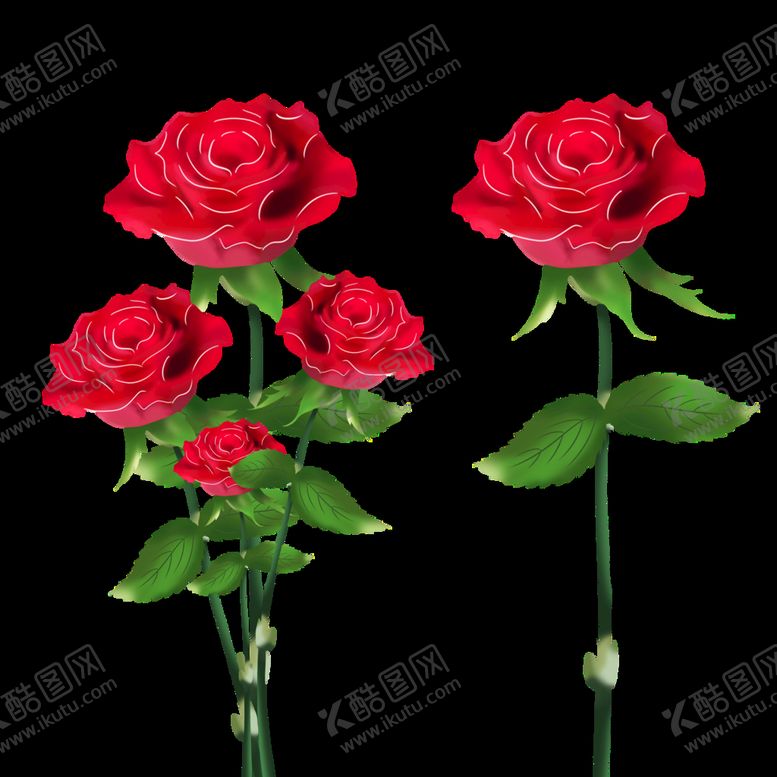 编号：05371810090656140187【酷图网】源文件下载-玫瑰花元素