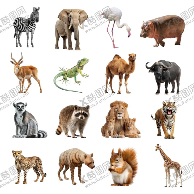 编号：62069804072151029406【酷图网】源文件下载-多样野生动物大集合