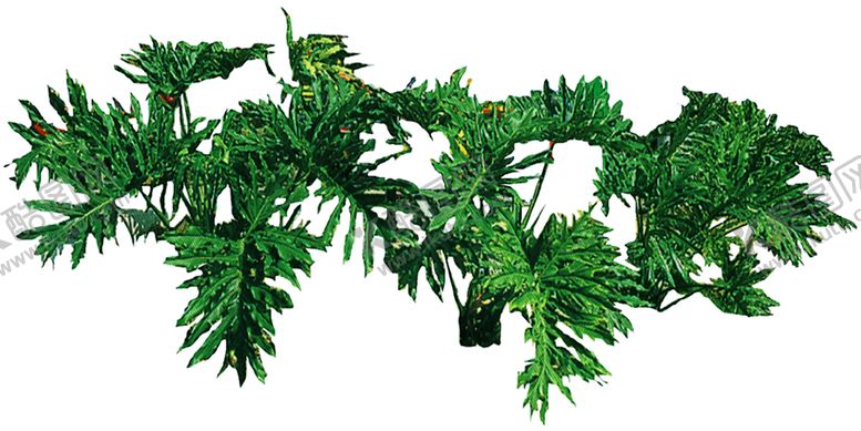 编号：94999310041805389886【酷图网】源文件下载-绿色背景