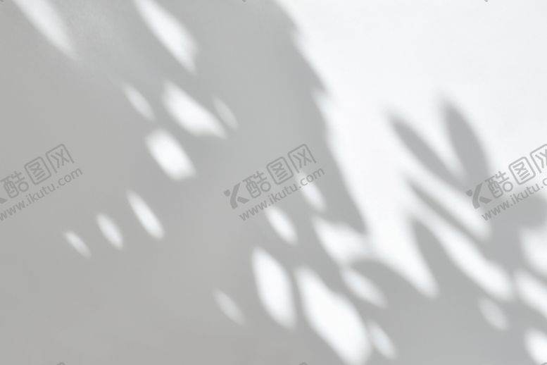 编号：95208609131144008945【酷图网】源文件下载-植物光影免抠素材简约空间感