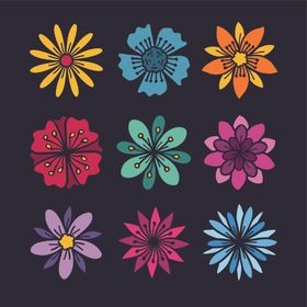 花纹花边素材