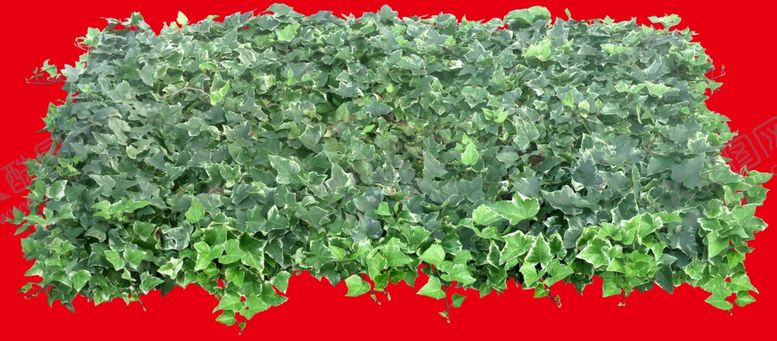 编号：77775809141635329762【酷图网】源文件下载-分层花