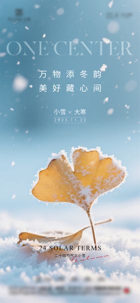 立冬小雪大雪小寒大寒节气海报