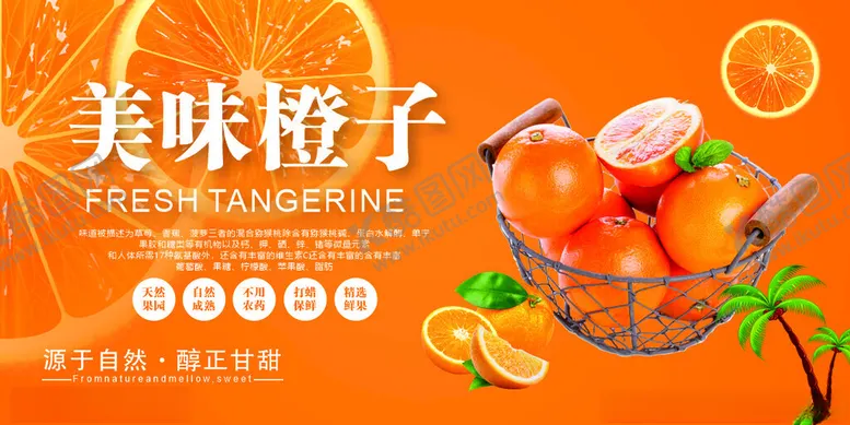 编号：79336103070211557005【酷图网】源文件下载-橙子海报