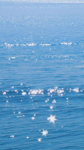 湖江海河景边湿地公园