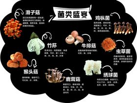 菌类盛宴