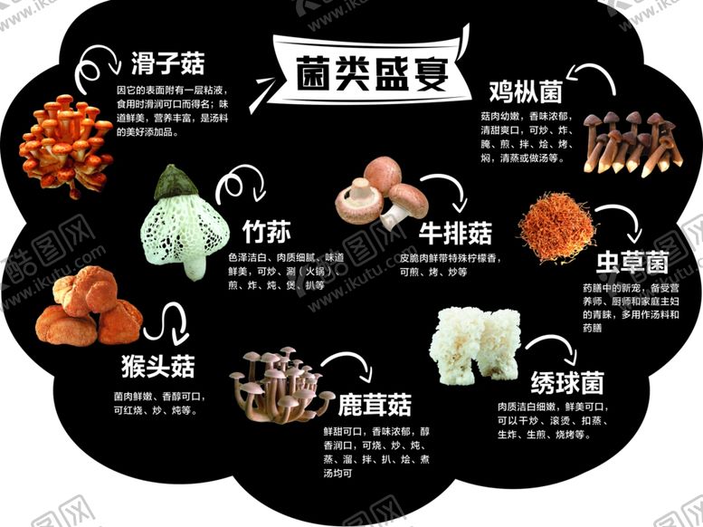 编号：50262610261605056859【酷图网】源文件下载-菌类盛宴