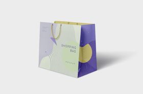 手提袋样机礼品包装品牌包装VI
