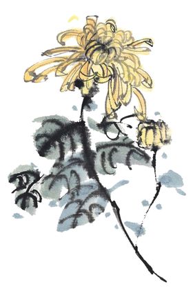 菊花装饰