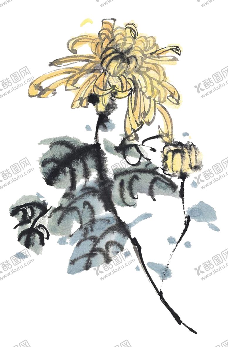 编号：32358506250318039864【酷图网】源文件下载-菊花装饰