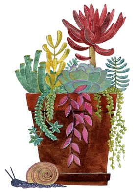 png格式植物花卉手绘素材朵插图多肉卡通