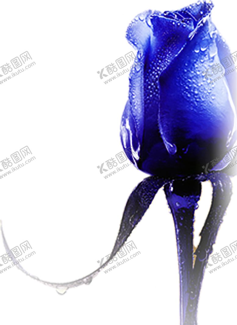 编号：54201009252138228815【酷图网】源文件下载-浪漫素材