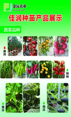 佳润种苗产品展示蔬菜番茄