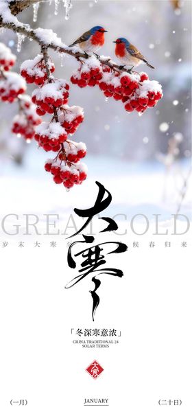 传统二十四节气大寒