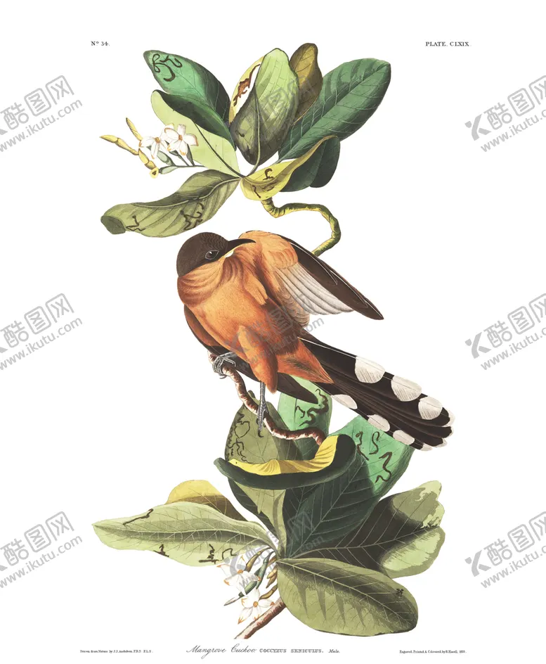 编号：59753812122319442009【酷图网】源文件下载-油画