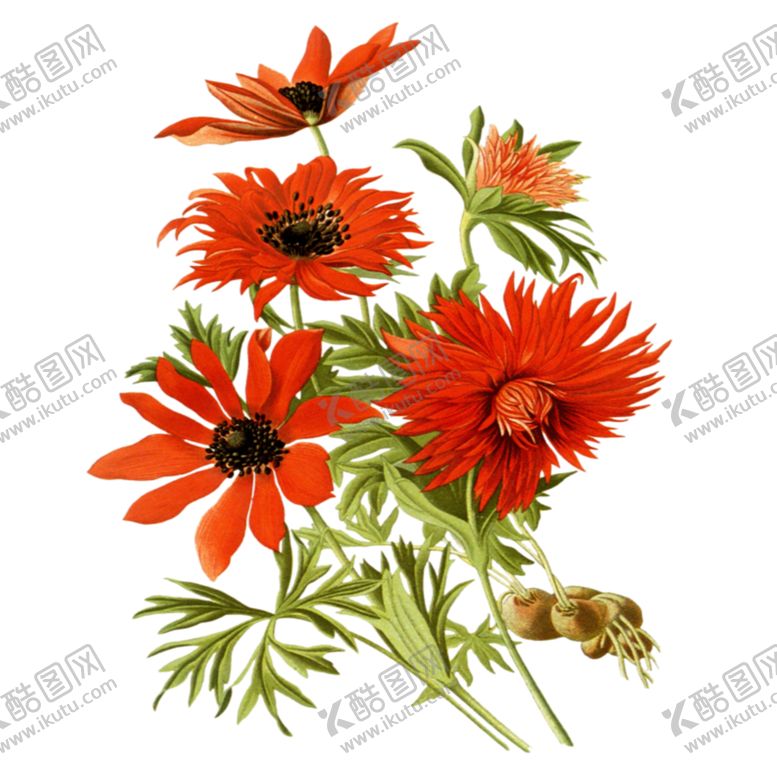 编号：87985410300100094656【酷图网】源文件下载-背景图片