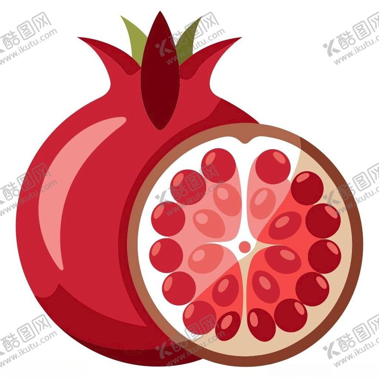 编号：82675402251604241855【酷图网】源文件下载-石榴剖面素材