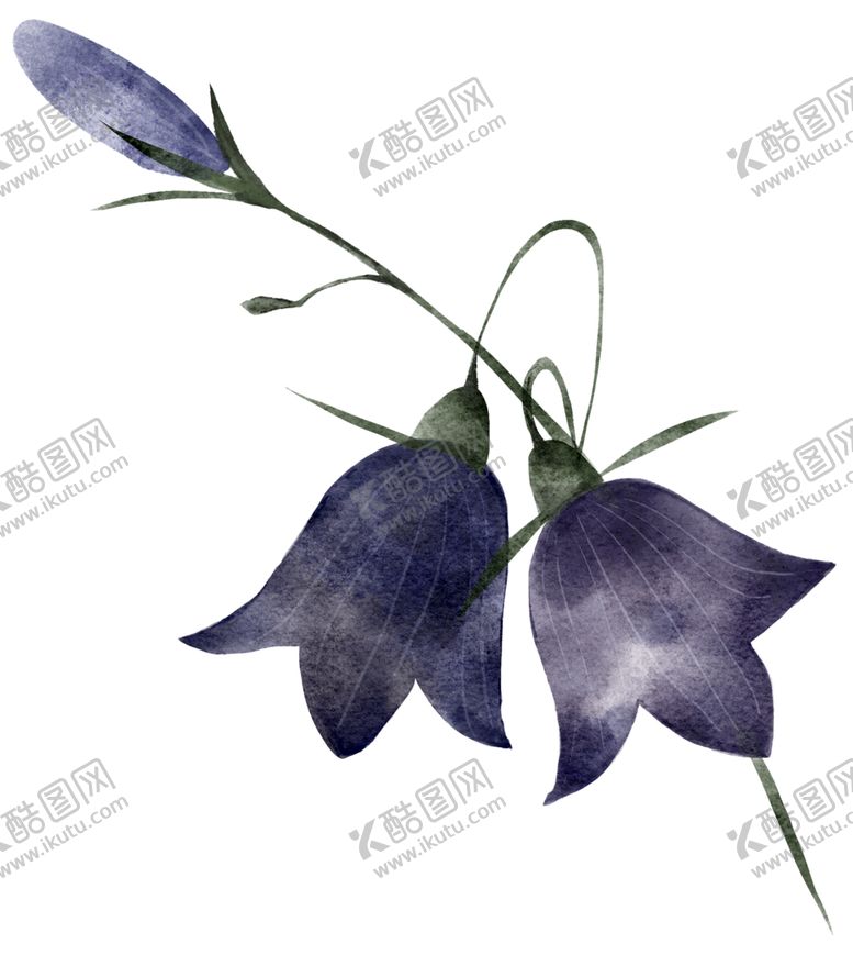 编号：95786201260128494762【酷图网】源文件下载-水彩花卉
