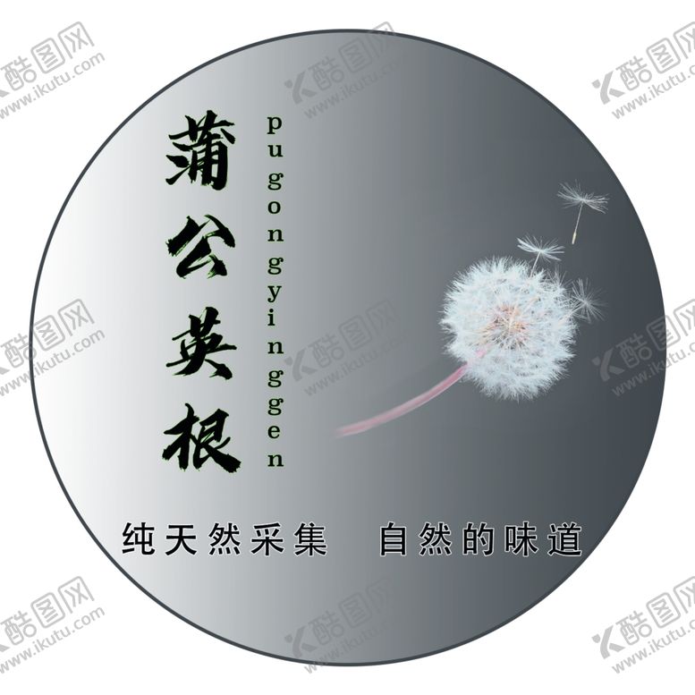 编号：88503902111457083447【酷图网】源文件下载-蒲公英根