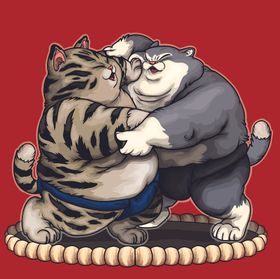 猫咪相扑
