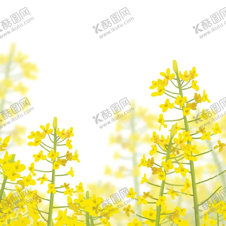 编号：15924606250403475434【酷图网】源文件下载-卡通油菜花元素
