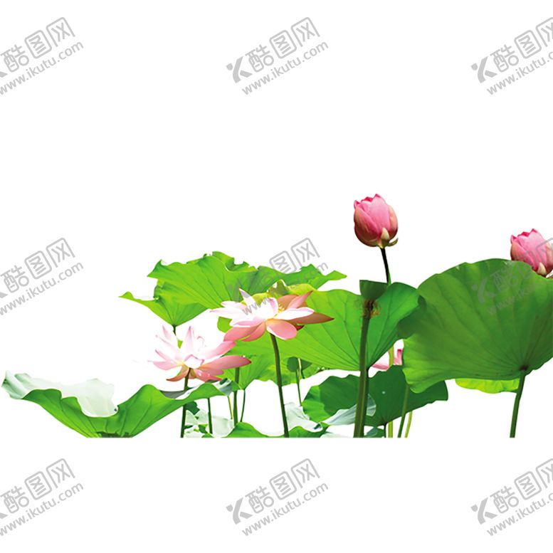 编号：26481809150605143750【酷图网】源文件下载-绿色相框