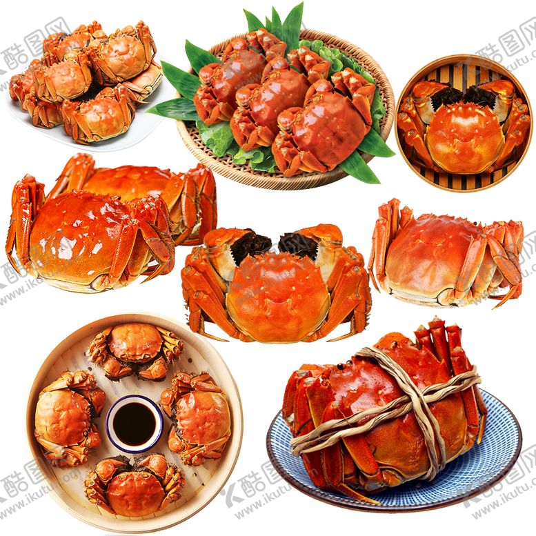 大闸蟹素材团购海鲜阳澄湖