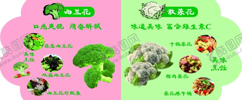 编号：56865403270020093131【酷图网】源文件下载-菜花