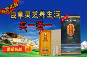 白酒文化传统活动宣传海报素材