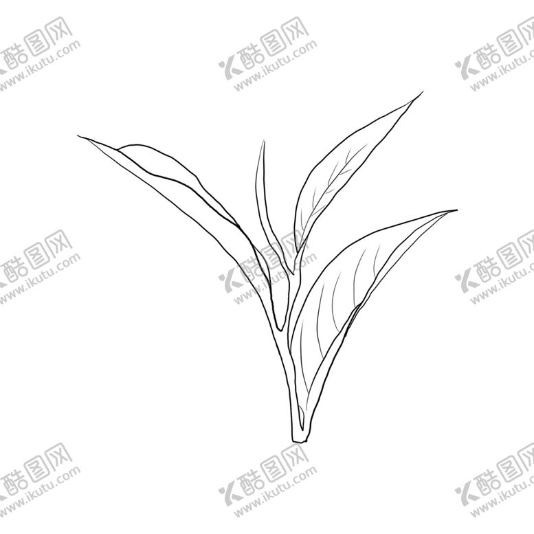 编号：63123410301556124444【酷图网】源文件下载-茶叶