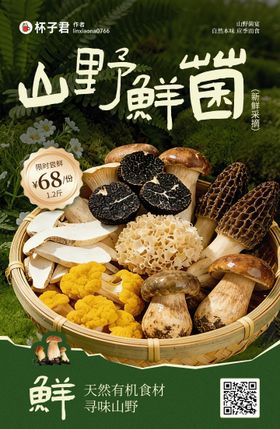 山野菌菇海报