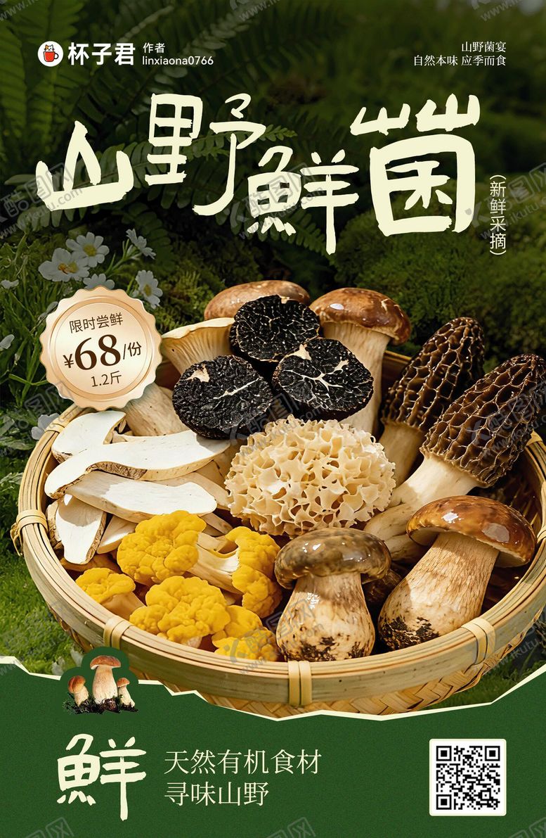 编号：37231504152140598086【酷图网】源文件下载-山野菌菇海报