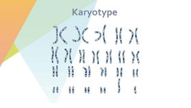 细胞生物学和组织学