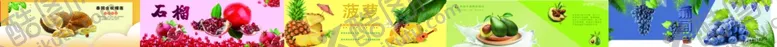 编号：54495706302150105387【酷图网】源文件下载-水果