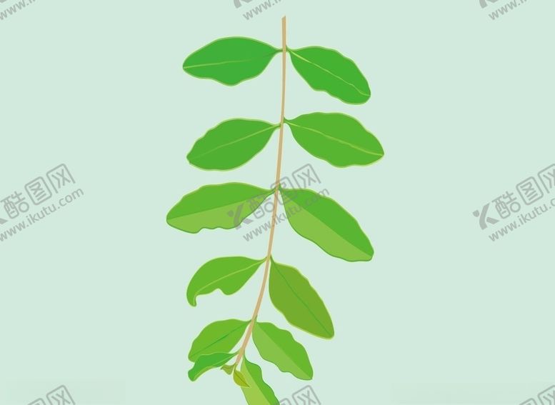 编号：71624409201648503984【酷图网】源文件下载-叶子