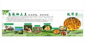 硒土豆土豆海报