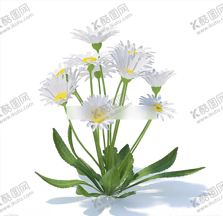 编号：44130106300725519970【酷图网】源文件下载-C4D模型菊花