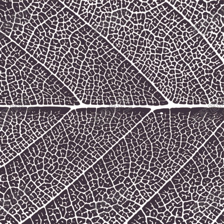 编号：41460310021627546891【酷图网】源文件下载-黑白抽象底纹